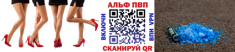 как найти Гвардейск Alfa_PVP СК