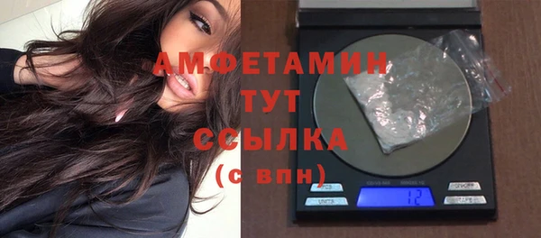 ешки Аркадак