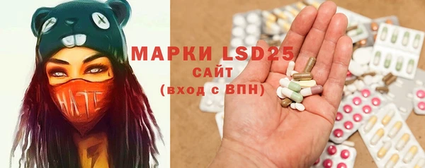 ешки Аркадак