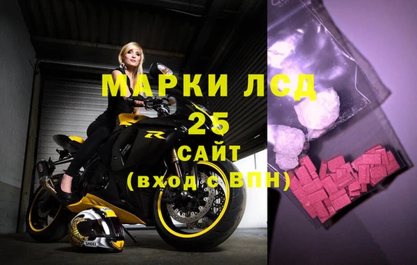 ешки Аркадак