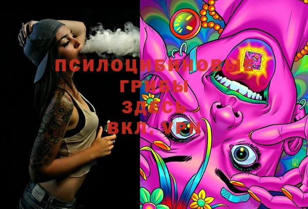 ешки Аркадак